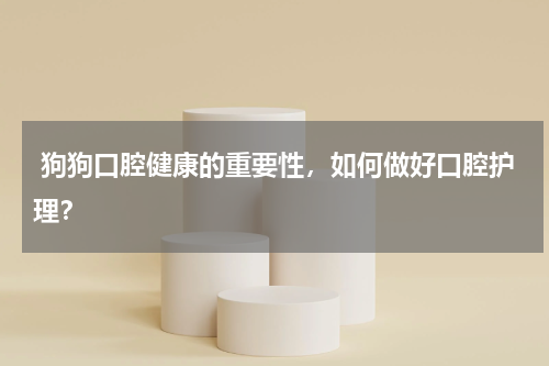  狗狗口腔健康的重要性，如何做好口腔护理？