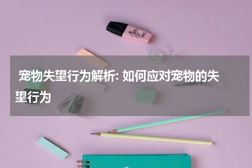 宠物失望行为解析: 如何应对宠物的失望行为