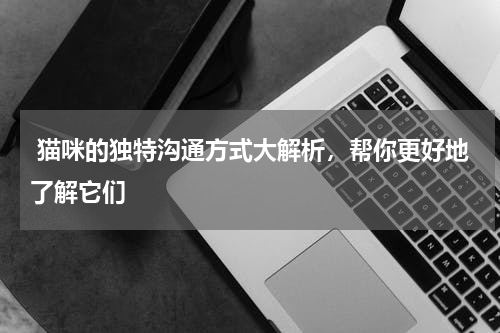  猫咪的独特沟通方式大解析，帮你更好地了解它们