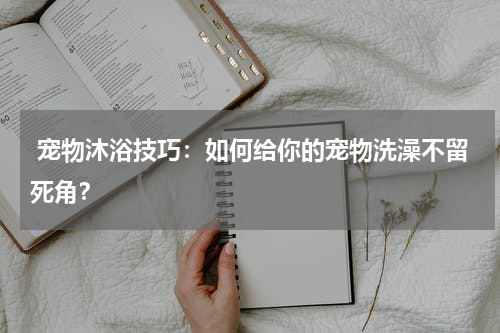 宠物沐浴技巧:如何给你的宠物洗澡不留死角?
