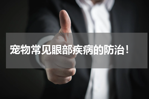 宠物常见眼部疾病的防治!