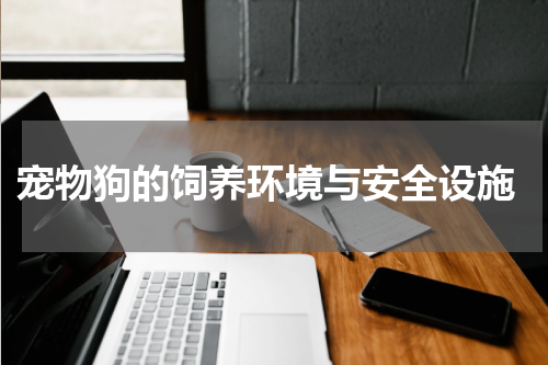  宠物狗的饲养环境与安全设施