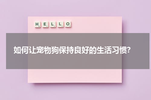  如何让宠物狗保持良好的生活习惯？