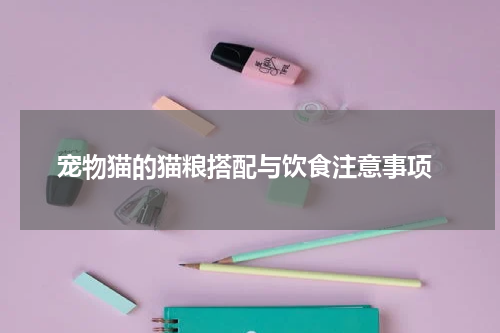  宠物猫的猫粮搭配与饮食注意事项