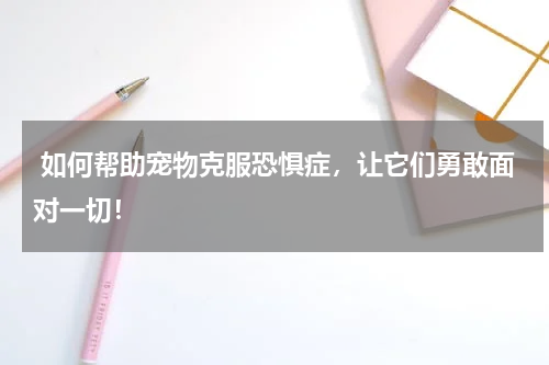 如何帮助宠物克服恐惧症,让它们勇敢面对一切!