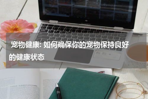 宠物健康: 如何确保你的宠物保持良好的健康状态