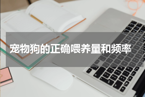 宠物狗的正确喂养量和频率