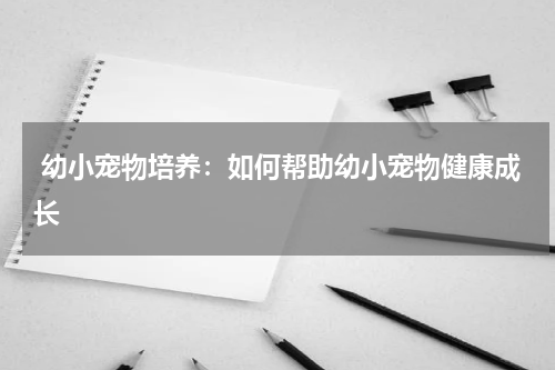 幼小宠物培养:如何帮助幼小宠物健康成长