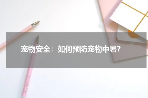 宠物安全:如何预防宠物中暑?