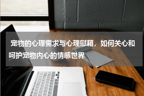 宠物的心理需求与心理慰藉,如何关心和呵护宠物内心的情感世界