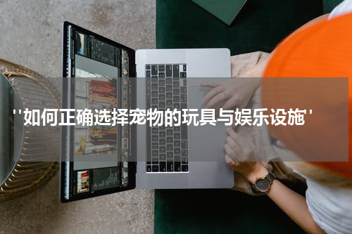 "如何正确选择宠物的玩具与娱乐设施"