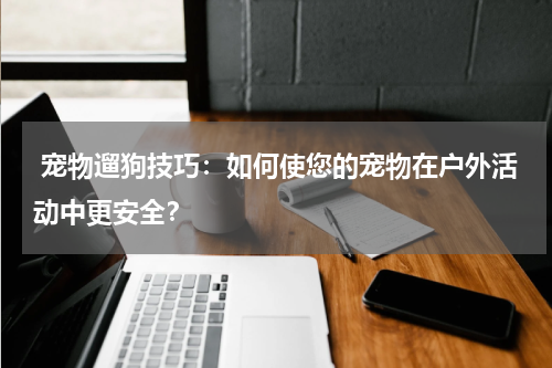 宠物遛狗技巧:如何使您的宠物在户外活动中更安全?