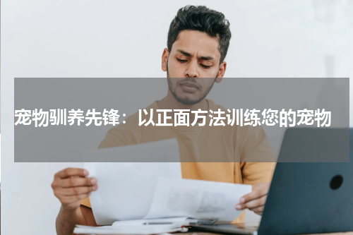 宠物驯养先锋:以正面方法训练您的宠物