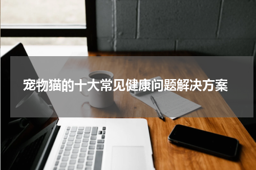 宠物猫的十大常见健康问题解决方案