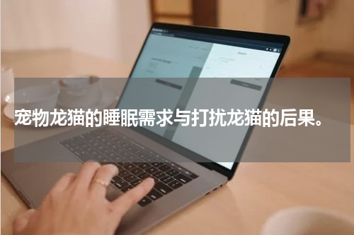 宠物龙猫的睡眠需求与打扰龙猫的后果。