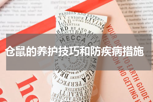 仓鼠的养护技巧和防疾病措施