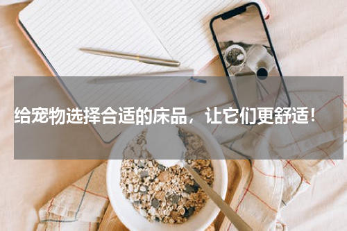 给宠物选择合适的床品,让它们更舒适!