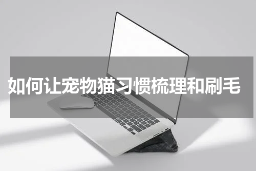 如何让宠物猫习惯梳理和刷毛