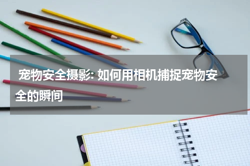 宠物安全摄影: 如何用相机捕捉宠物安全的瞬间