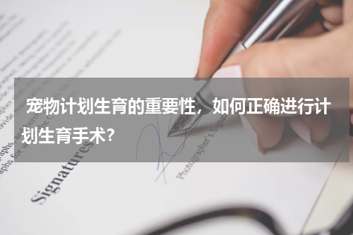  宠物计划生育的重要性，如何正确进行计划生育手术？