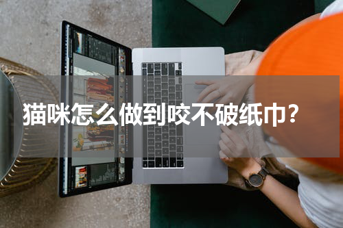 猫咪怎么做到咬不破纸巾?