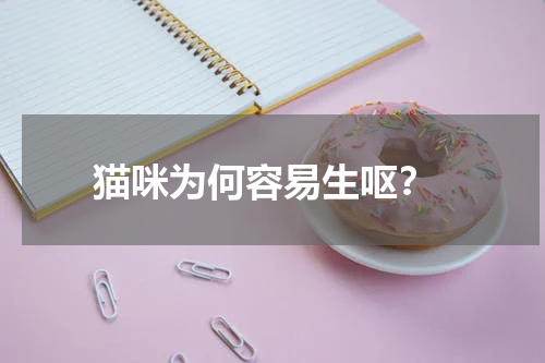 猫咪为何容易生呕?