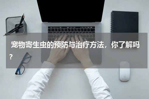 宠物寄生虫的预防与治疗方法,你了解吗?