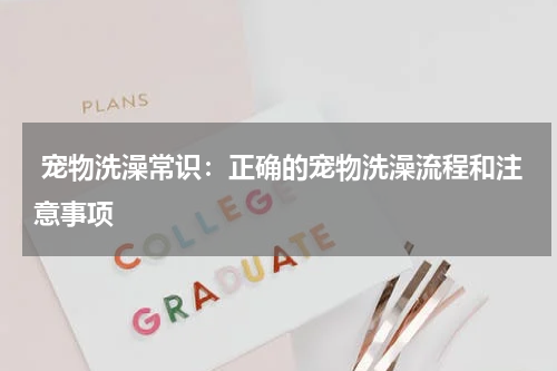 宠物洗澡常识:正确的宠物洗澡流程和注意事项