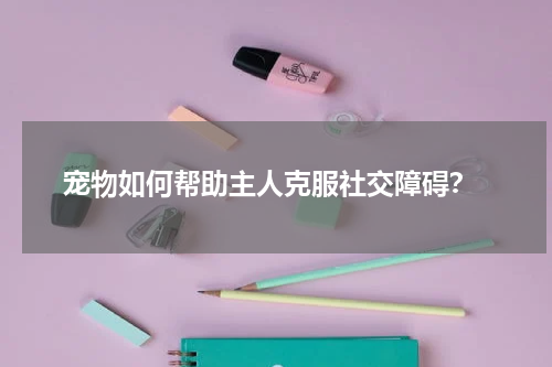 宠物如何帮助主人克服社交障碍?
