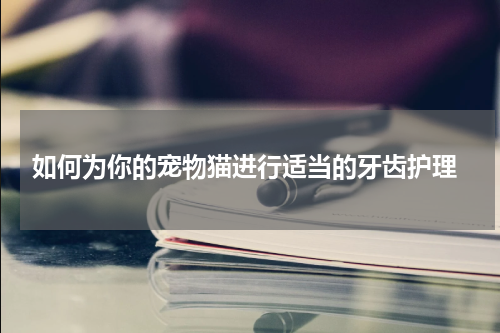 如何为你的宠物猫进行适当的牙齿护理