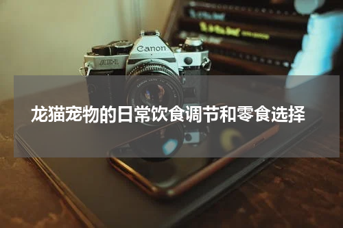 龙猫宠物的日常饮食调节和零食选择