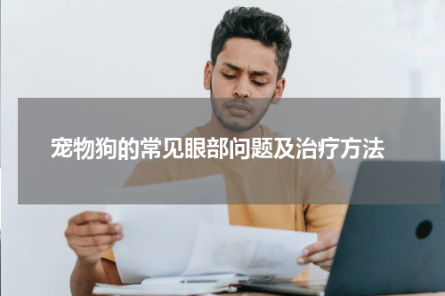  宠物狗的常见眼部问题及治疗方法