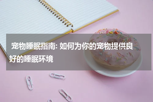宠物睡眠指南: 如何为你的宠物提供良好的睡眠环境