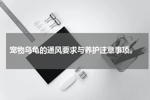 宠物乌龟的通风要求与养护注意事项。