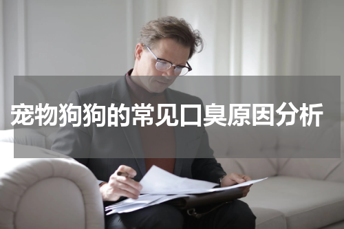 宠物狗狗的常见口臭原因分析