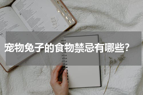 宠物兔子的食物禁忌有哪些?