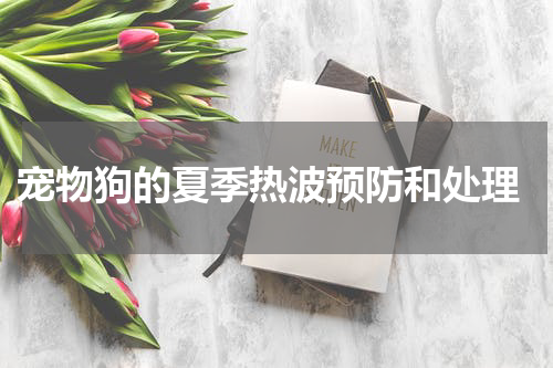 宠物狗的夏季热波预防和处理