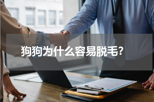 狗狗为什么容易脱毛?