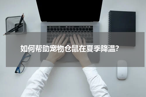 如何帮助宠物仓鼠在夏季降温?