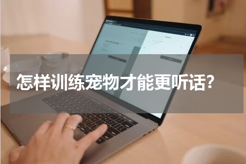 怎样训练宠物才能更听话?