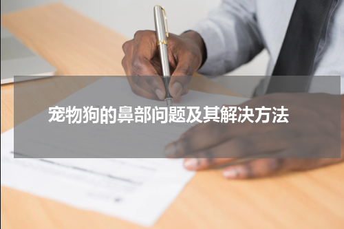 宠物狗的鼻部问题及其解决方法