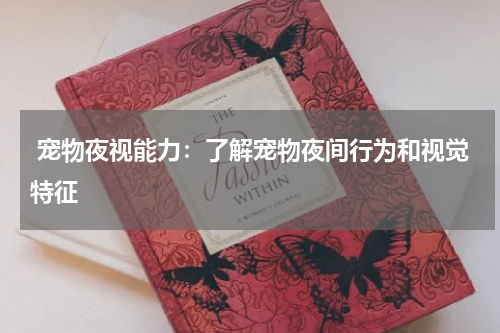  宠物夜视能力：了解宠物夜间行为和视觉特征