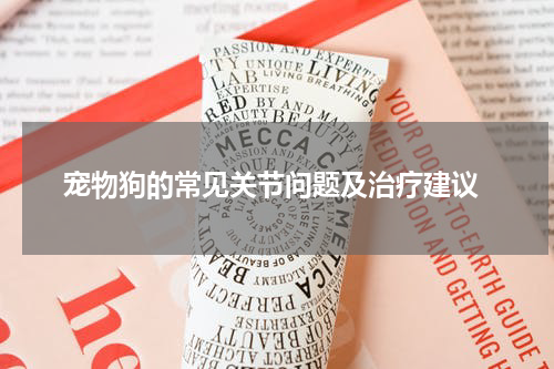 宠物狗的常见关节问题及治疗建议