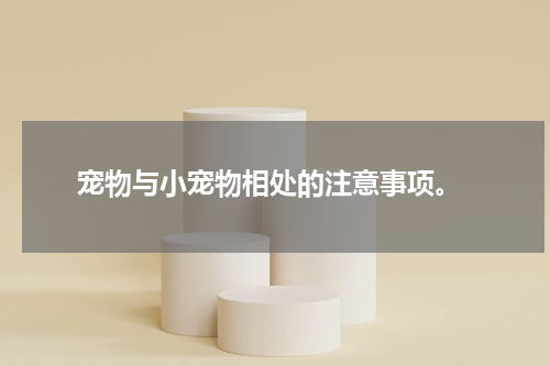 宠物与小宠物相处的注意事项。