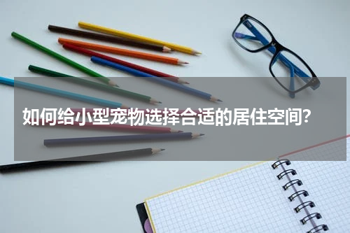 如何给小型宠物选择合适的居住空间?