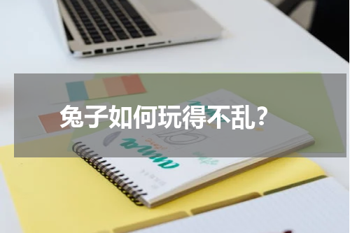 兔子如何玩得不乱?