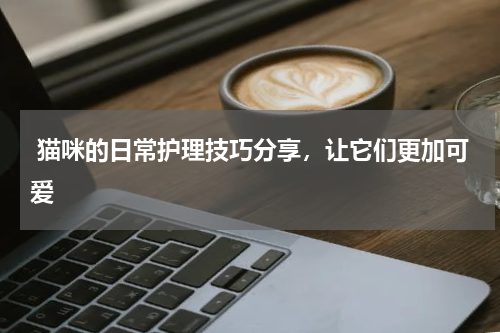  猫咪的日常护理技巧分享，让它们更加可爱