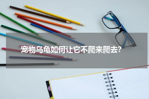 宠物乌龟如何让它不爬来爬去?