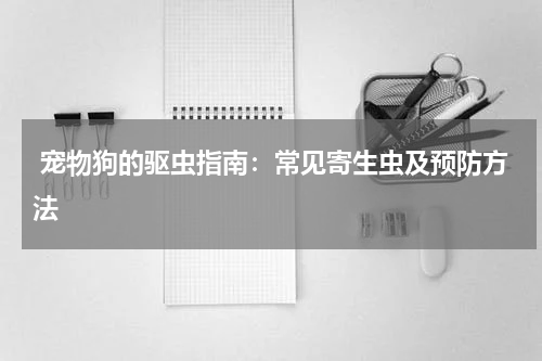 宠物狗的驱虫指南:常见寄生虫及预防方法