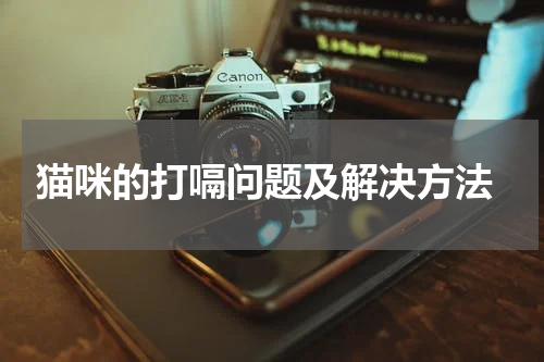  猫咪的打嗝问题及解决方法